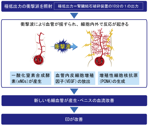 EDマックスの特徴