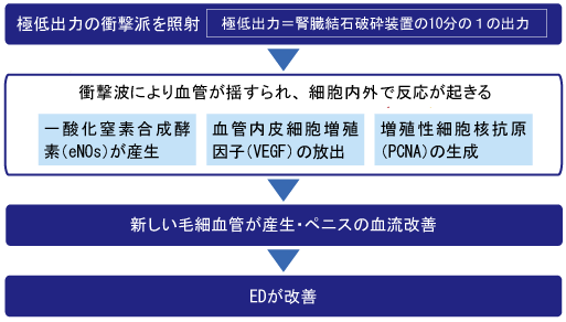 EDマックスの特徴